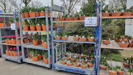 Holland Bolroy Markt BV Gallery - Netherlands