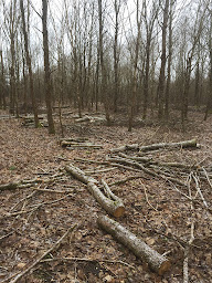 Photo n°3 de Le Ruisseau à Thorée-les-Pins (Magasin de bois de chauffage)
