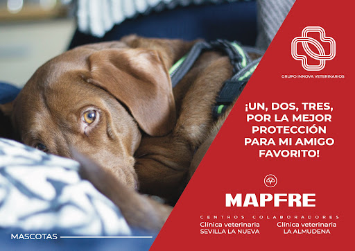 Clínica Veterinaria La Almudena