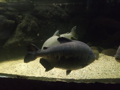 Photos of Benito Ju&aacute;rez Zoo
