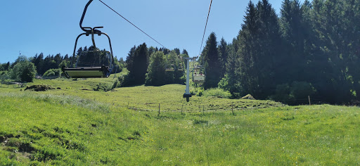 Parkplatz Alpsee Bergwelt - Thumbnail
