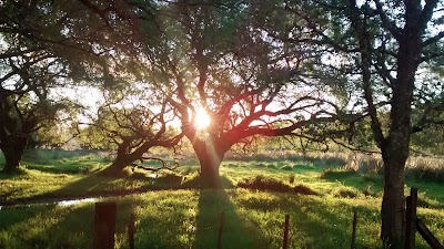 Photos of Los Hornitos De Huequen