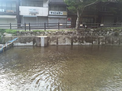 Photos of Iwayadō Park