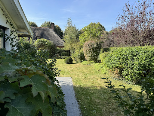 Photo de UN JARDIN SOUS MON TOIT - Paysagiste à Bondues