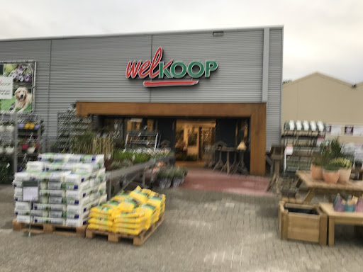 Welkoop Sneek - Thumbnail