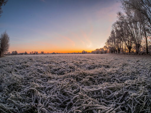 Ems Fotospot Rietberg - Thumbnail