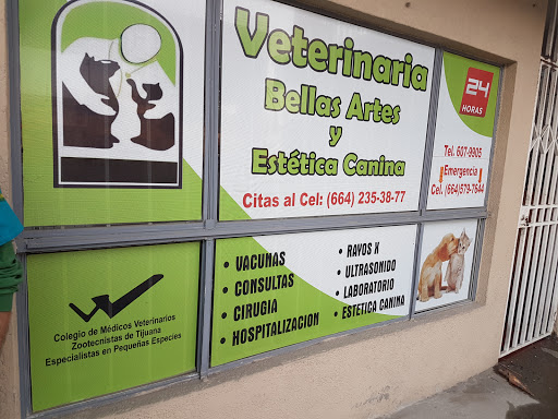 Veterinary Fine Arts