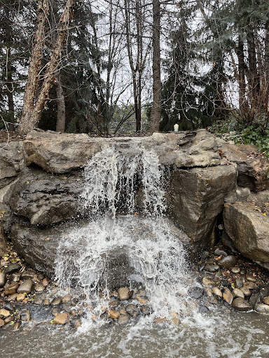 Everything Ponds and Aquariums LLC - Thumbnail