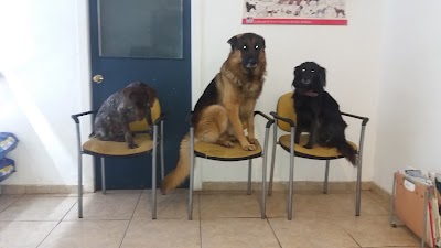Photos of Centro Veterinario Buin