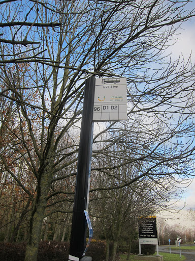 Celtic Way - Visual