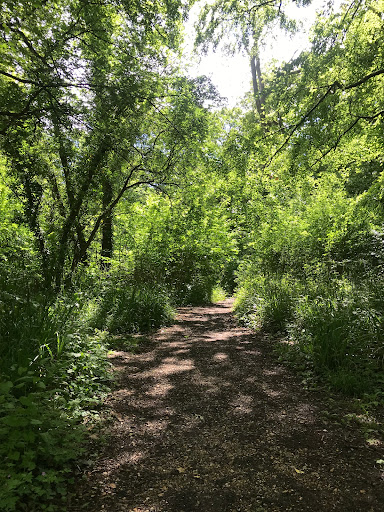 Vincients Wood
