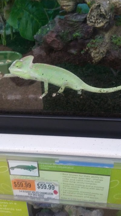 Petco