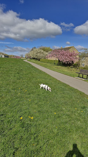 Stannington Park