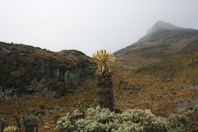 Photos of Laguna Verde