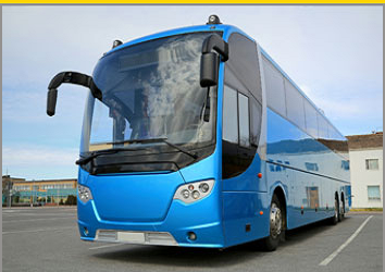 Bus n Limo - Thumbnail