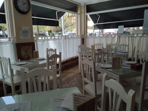 Tree Cafe - Visual