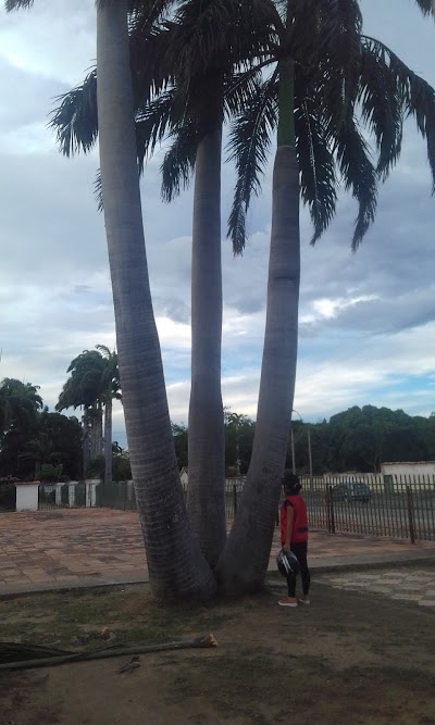 Photos of Estatua General Francisco De Paula Santander