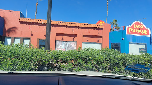 Taco Palenque - Visual