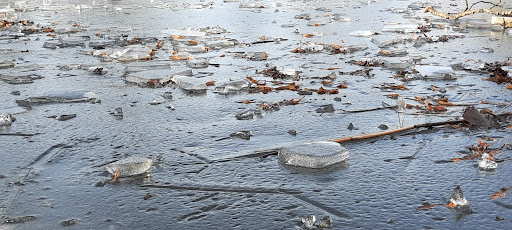 Eisweiher Villingen - Thumbnail
