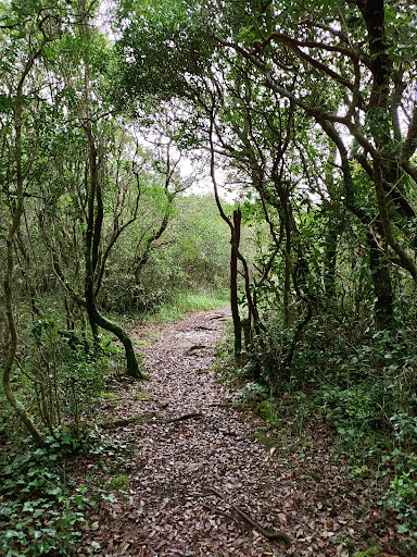 Monte Cincho - Visual