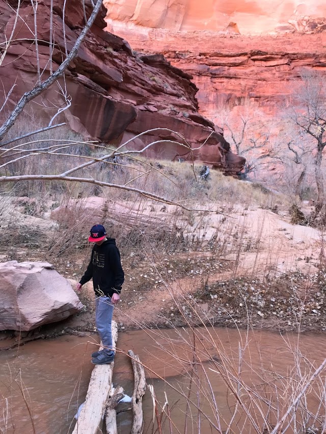 Coyote Gulch