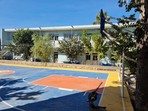 Universidad Alfa Lambda - Visual