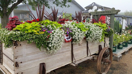 East River Nursery - Thumbnail