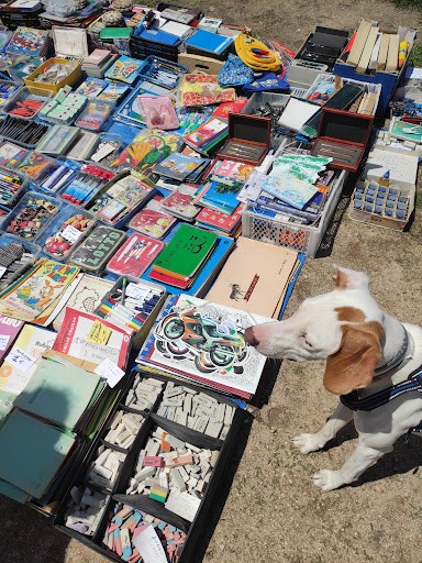 Mercadillo de antigüedades de Navacerrada - Thumbnail