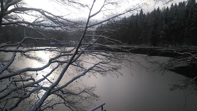 lodging