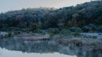 Brushy Lake Dam