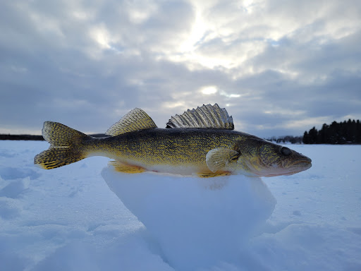 Whitefish Lake Provincial Park - Thumbnail