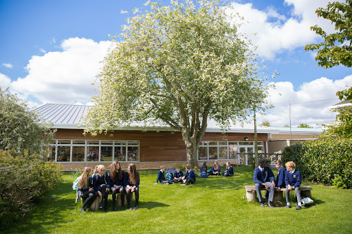 Sheldon School - Visual