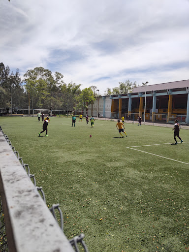 Futbol 7 Oceania