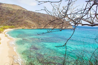 Photos of Calipso Dive Center