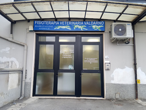 Fisioterapia Veterinaria Valdarno