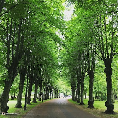 park