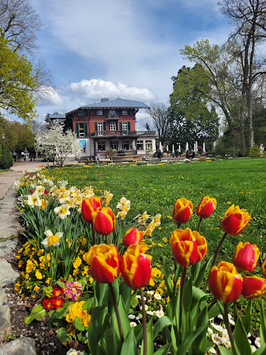 Königsteiner Kur Park - Thumbnail