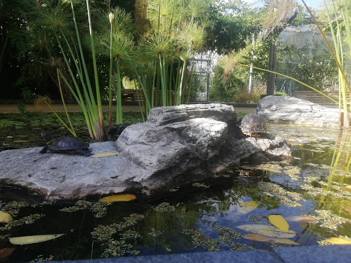 Tiergehege im Botanischen Garten Chemnitz - Thumbnail