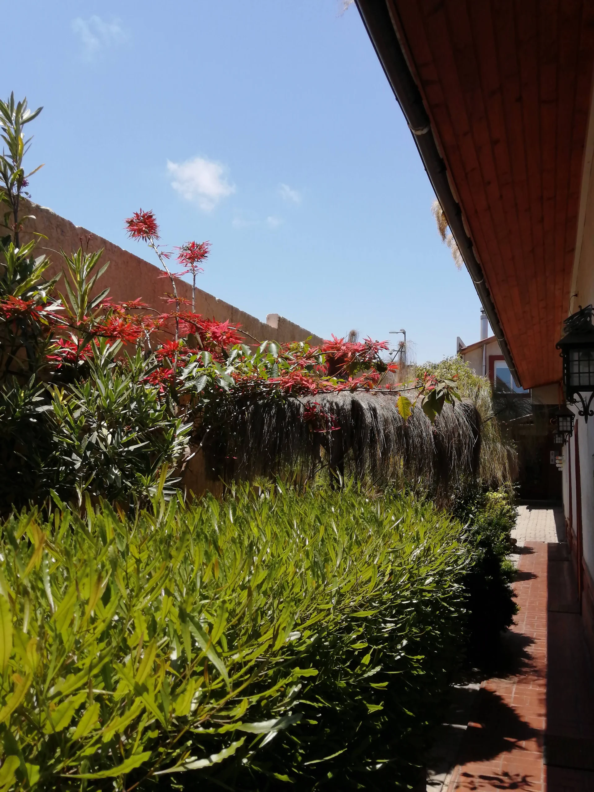 Hostal Balmaceda La Serena