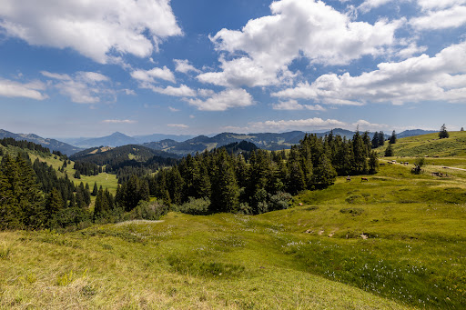 Höllritzer Alpe - Thumbnail