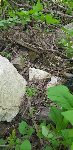 McCallum family Cemetery - Thumbnail