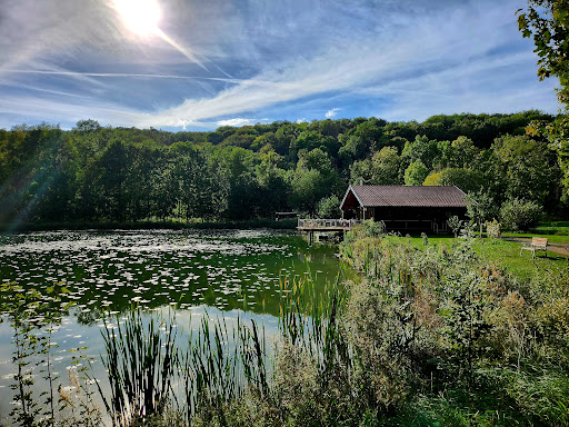 Grünsfelder See - Thumbnail