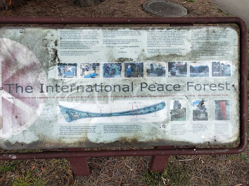 International Peace Forest Gallery - Australia