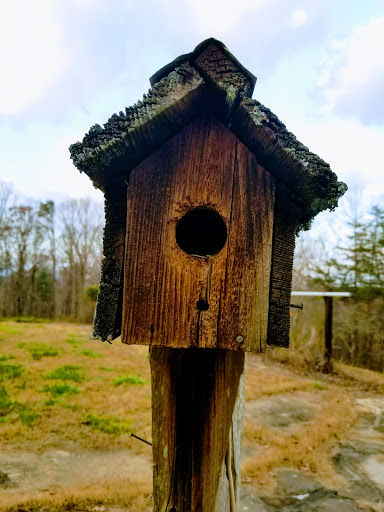 Elkmont Resort, Cleveland GA