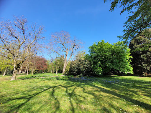 Old Homberger Cemetery - Thumbnail