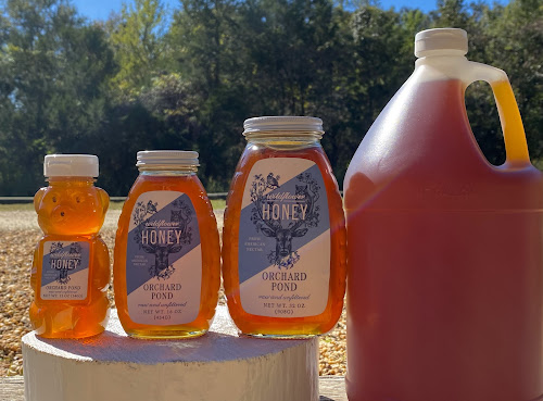 Orchard Pond by null