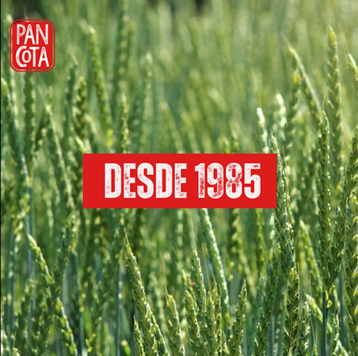 Pan Cota - Thumbnail