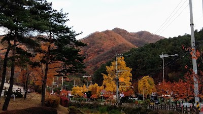 Photos of 수리산등산로입구