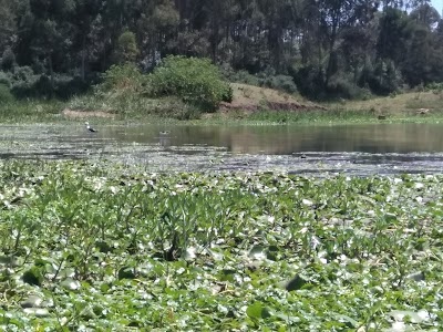 Photos of Manguo Show Grounds Park