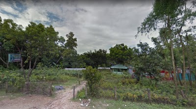 Photos of Green View Nursery